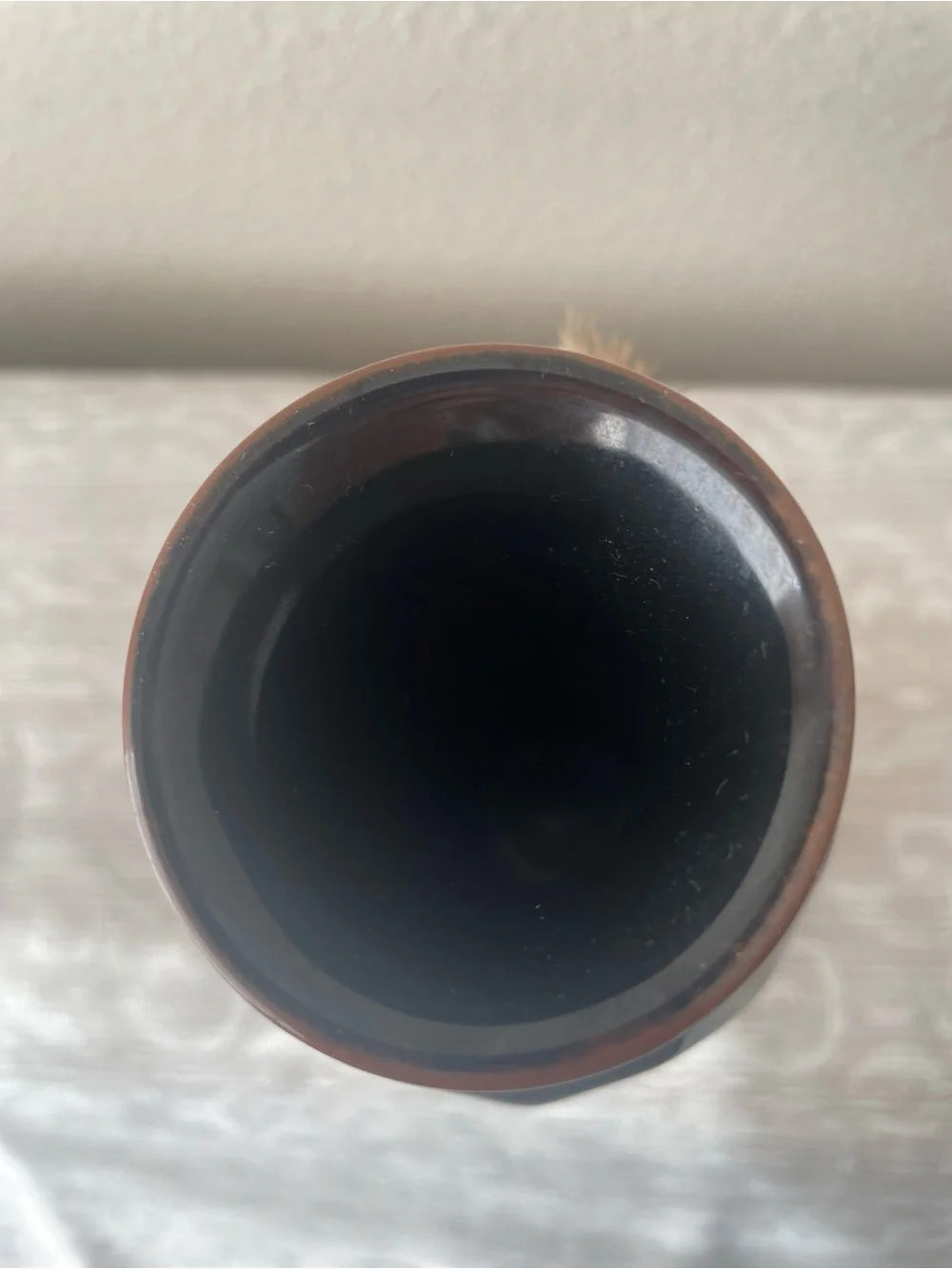 Black pottery Decorative Vase with Feather Accent sing FRP 86 9.25 inch